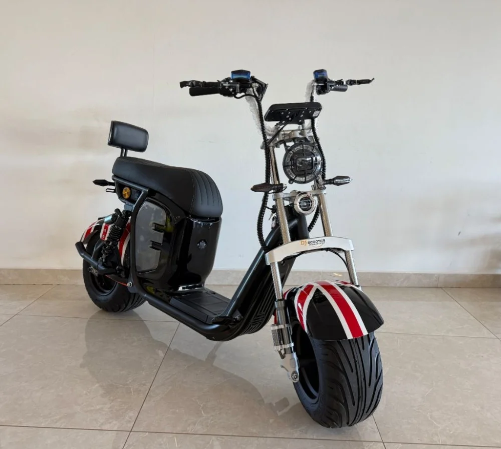 IRun  Scooter Elétrica IRun S15 1000W